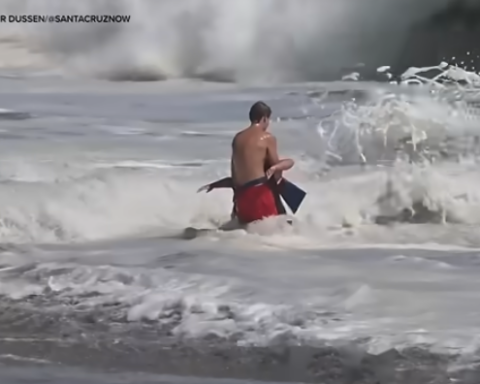 Ocean rescue